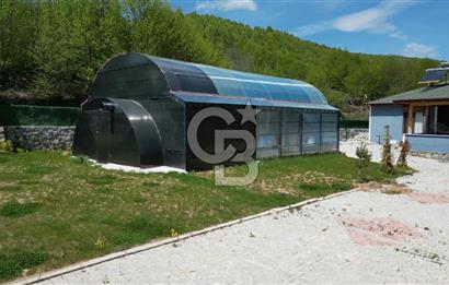 BURSA İZNİK KUTLUCA'DA 6.300M2 ARSADA SATILIK HAVUZLU KÖY EVİ