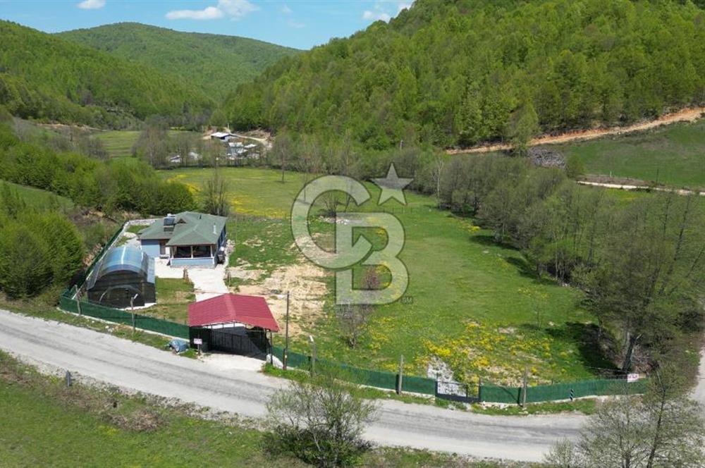 BURSA İZNİK KUTLUCA'DA 6.300M2 ARSADA SATILIK HAVUZLU KÖY EVİ