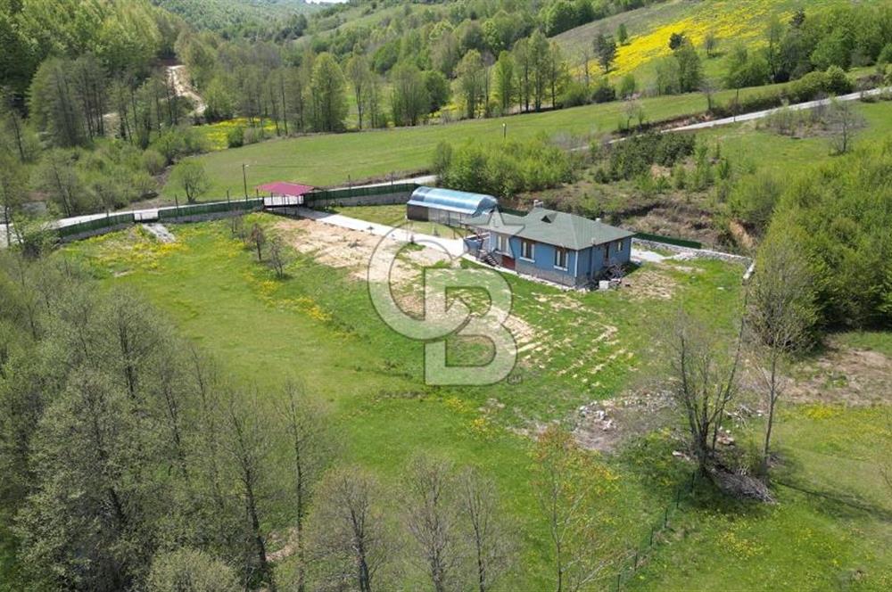 BURSA İZNİK KUTLUCA'DA 6.300M2 ARSADA SATILIK HAVUZLU KÖY EVİ