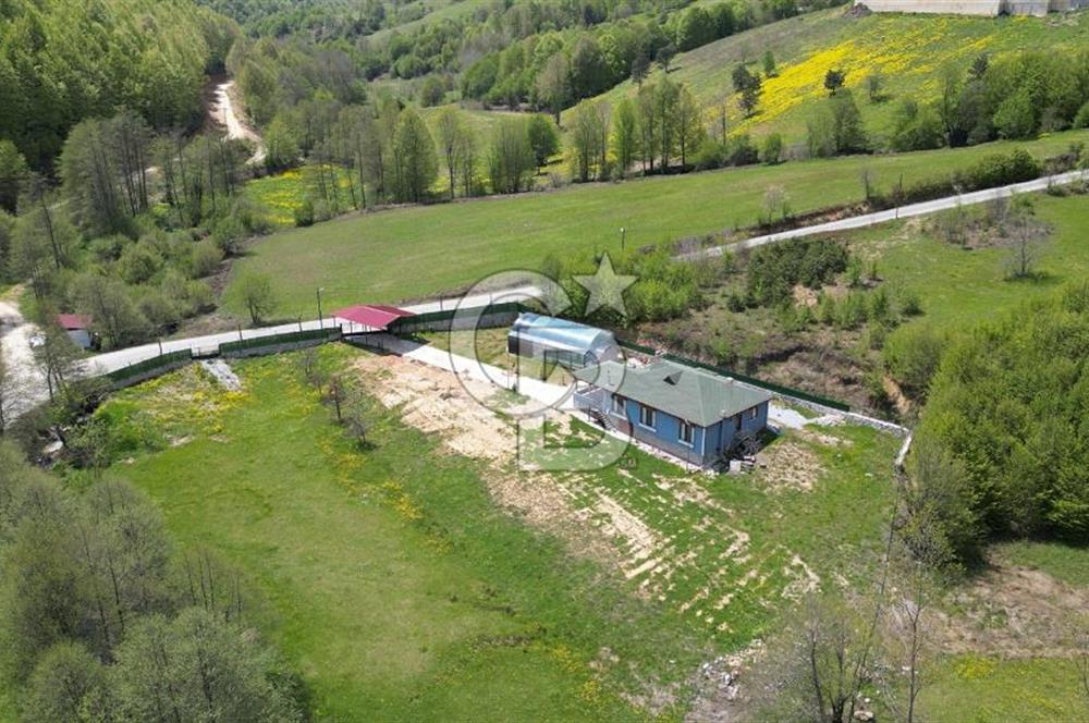 BURSA İZNİK KUTLUCA'DA 6.300M2 ARSADA SATILIK HAVUZLU KÖY EVİ