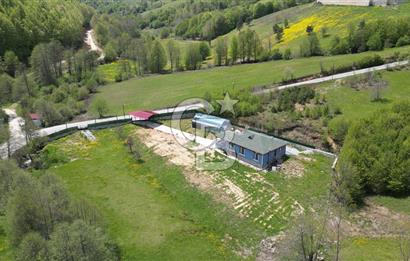 BURSA İZNİK KUTLUCA'DA 6.300M2 ARSADA SATILIK HAVUZLU KÖY EVİ