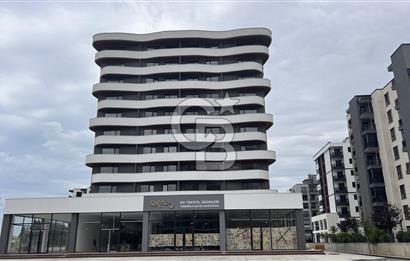 BARAN PRİME KİRALIK OFİS