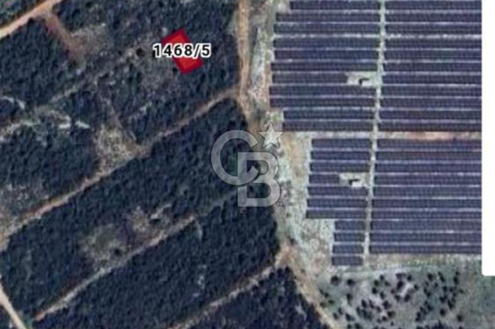 Aydın,Didim,Ak-Yeniköy'de villa imarlı arsa