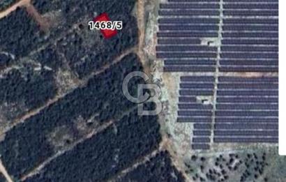 Aydın,Didim,Ak-Yeniköy'de villa imarlı arsa