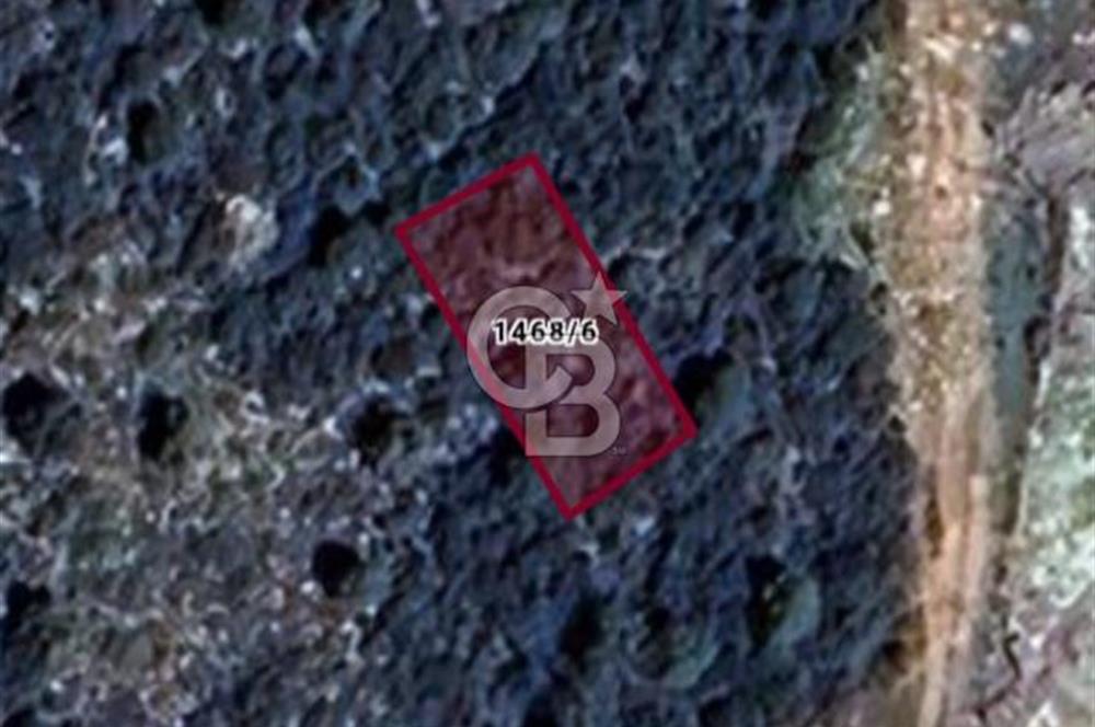 Aydın,Didim,Ak-Yeniköy'de villa imarlı arsa