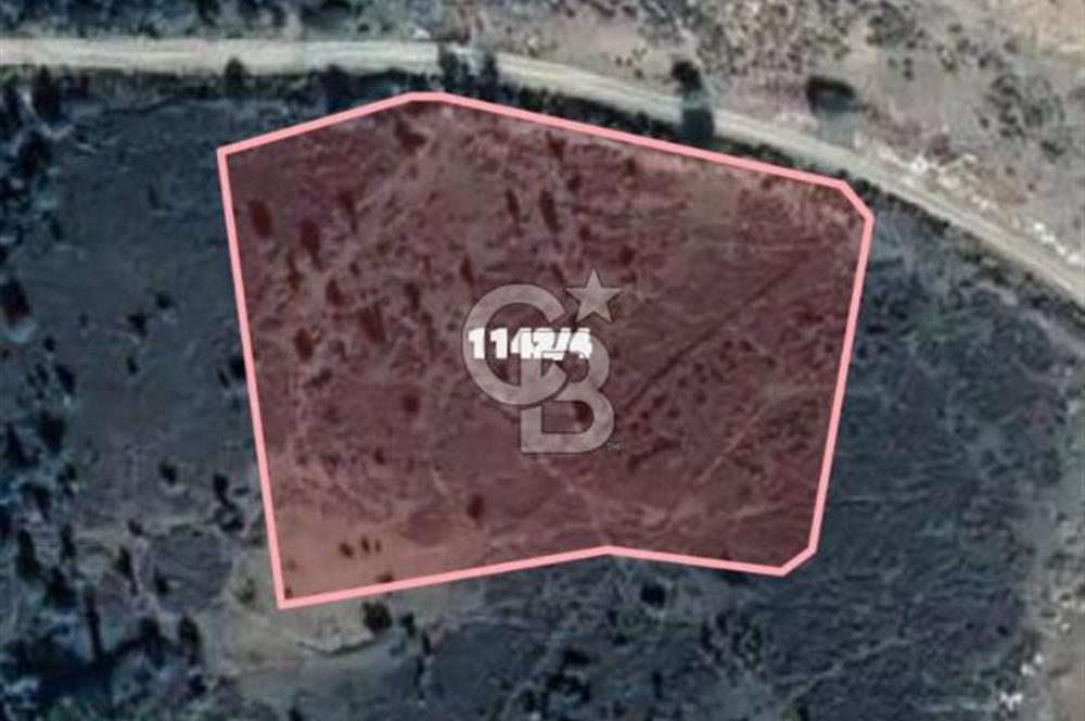 YALOVA ARMUTLU TAVŞANTEPE İMARLI DENİZ MANZARALI DEĞERLİ ARAZİ