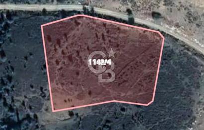 YALOVA ARMUTLU TAVŞANTEPE İMARLI DENİZ MANZARALI DEĞERLİ ARAZİ