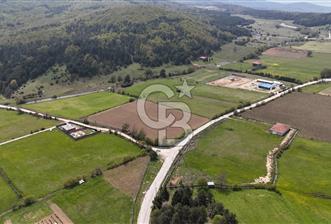 BURSA İZNİK HACIOSMAN'DA SATILIK 10,650M2 KUPON YER!
