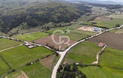 BURSA İZNİK HACIOSMAN'DA SATILIK 10,650M2 KUPON YER!