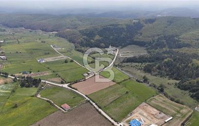 BURSA İZNİK HACIOSMAN'DA SATILIK 10,650M2 KUPON YER!