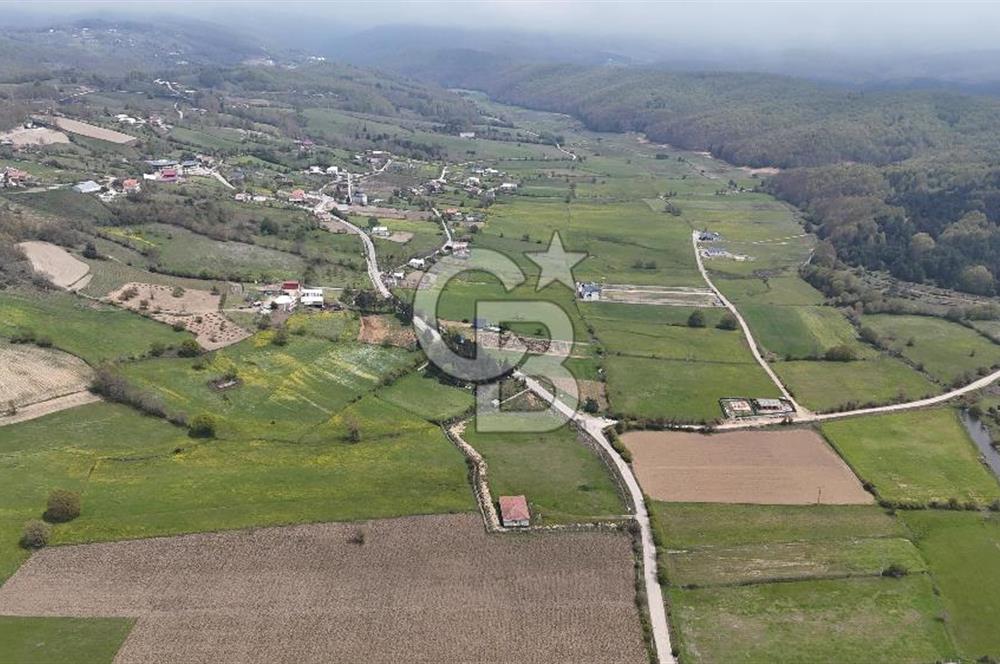 BURSA İZNİK HACIOSMAN'DA SATILIK 10,650M2 KUPON YER!