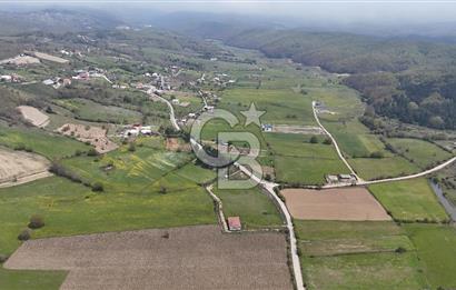 BURSA İZNİK HACIOSMAN'DA SATILIK 10,650M2 KUPON YER!
