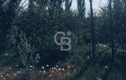 YAHYALI İSMET MAHALLESİNDE SATILIK BAHÇE