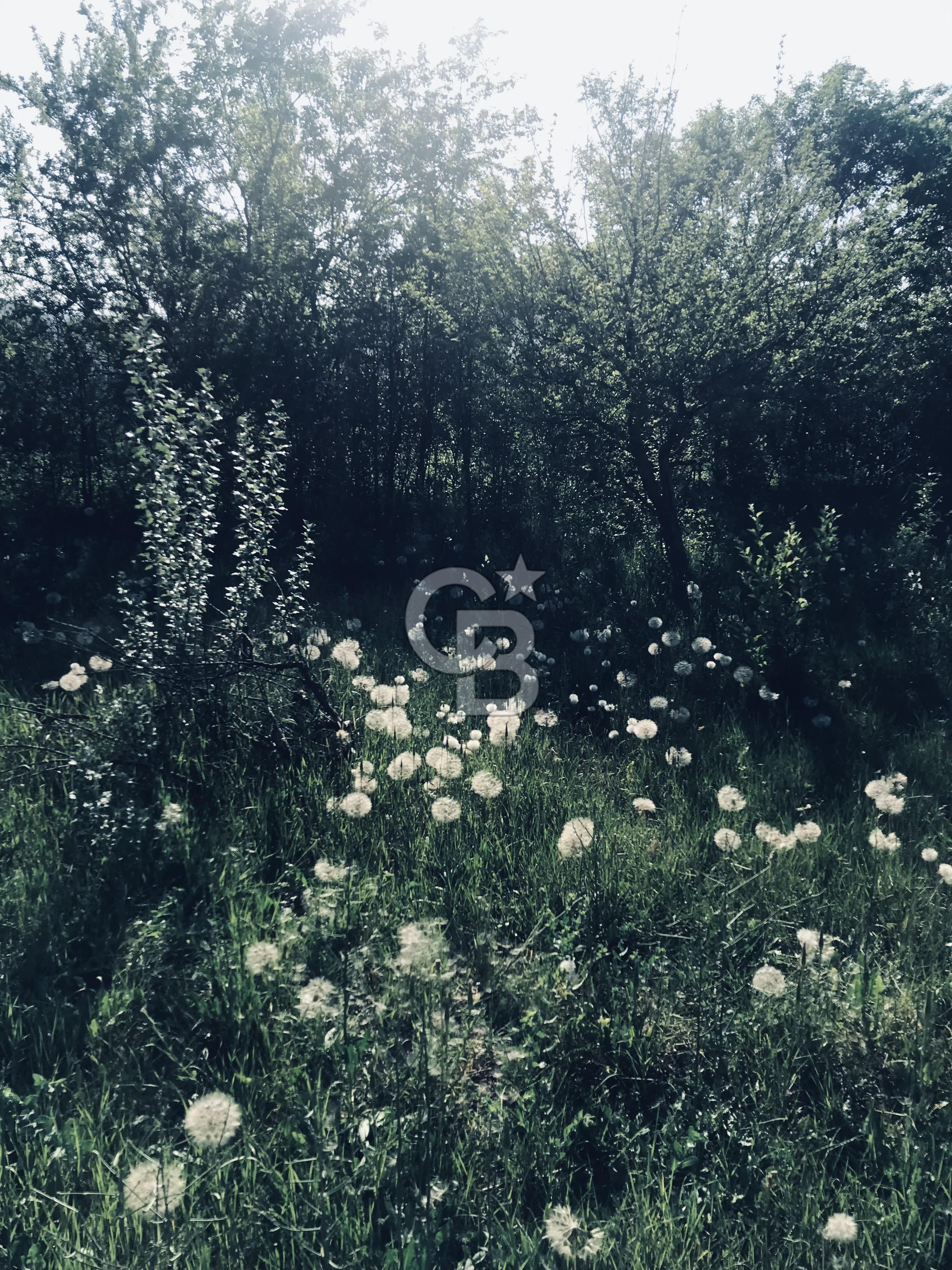 YAHYALI İSMET MAHALLESİNDE SATILIK BAHÇE