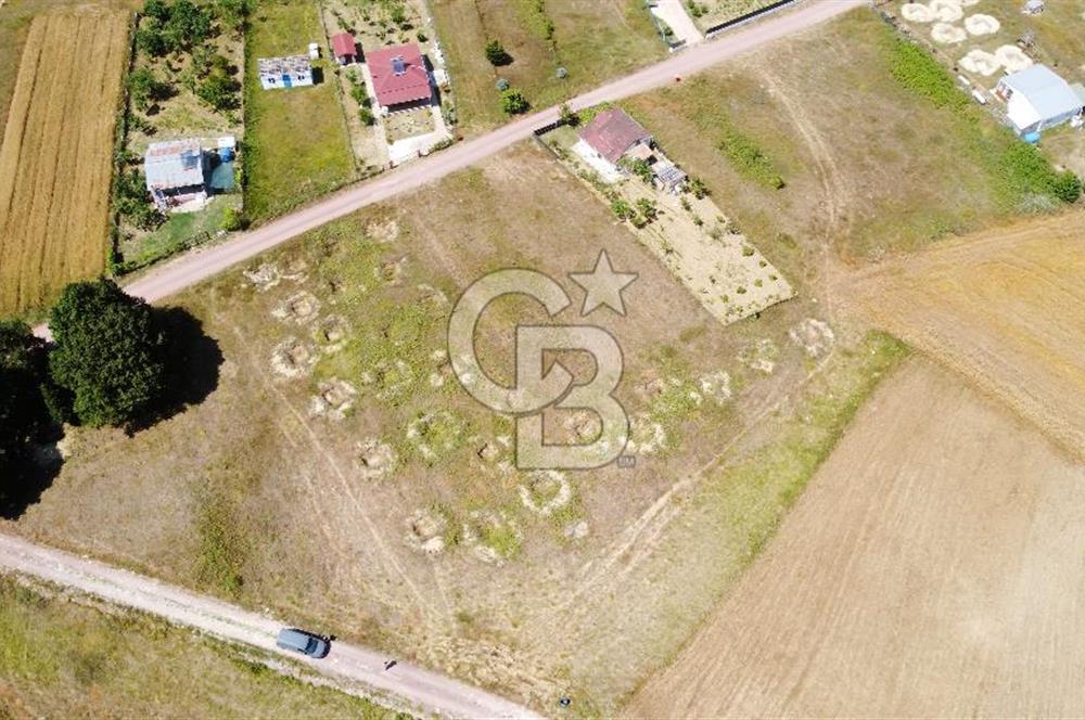 CB AKADEMİ KOCAKAYMAZ SATILIK KADASTRO YOL CEPHE 1384 m2 TARLA