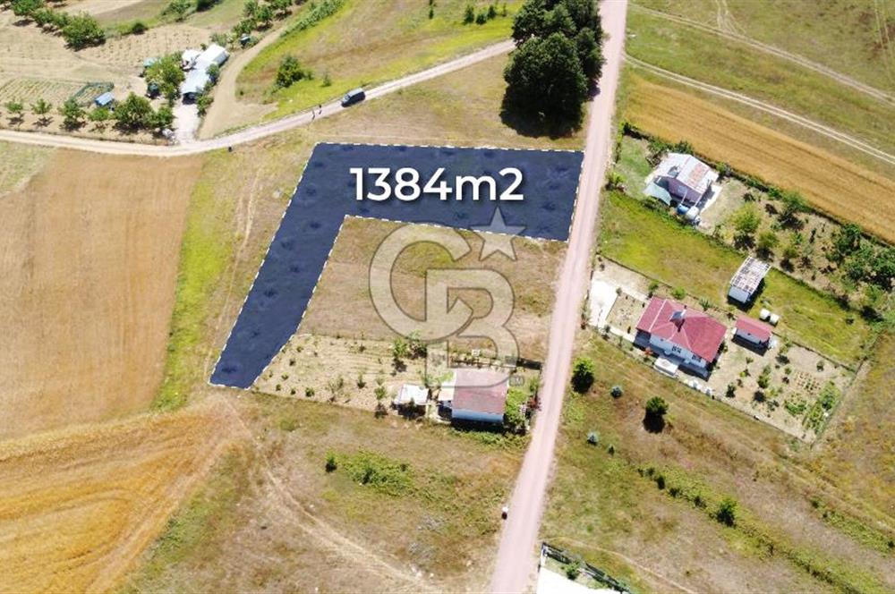 CB AKADEMİ KOCAKAYMAZ SATILIK KADASTRO YOL CEPHE 1384 m2 TARLA