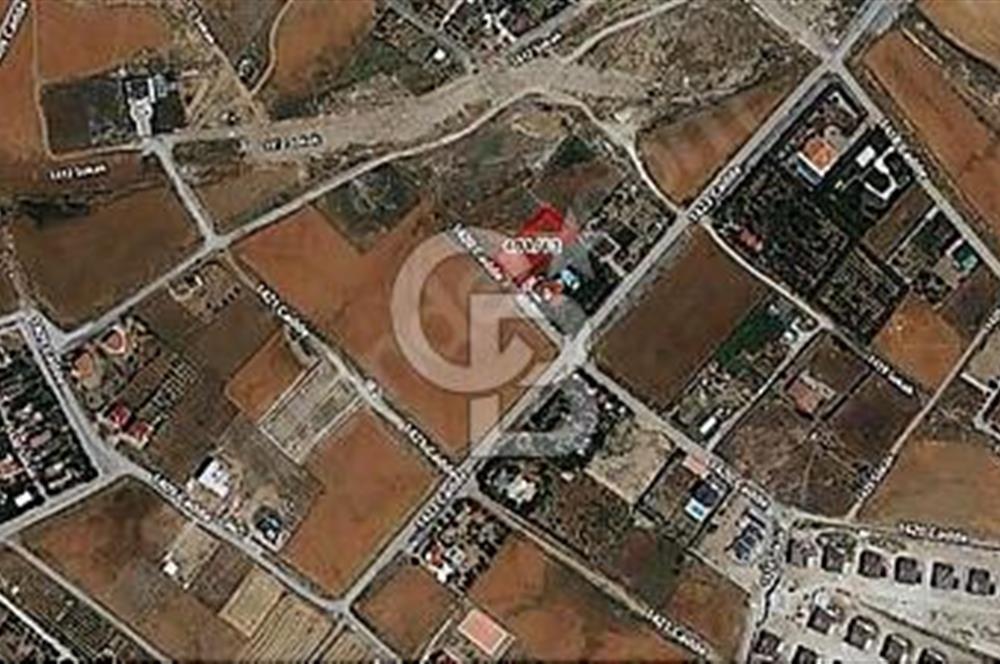 GÖLBAŞI-HACILAR-VİLLA SİTELERİ ARASINDA 1.512 M2 VİLLA PARSELİ