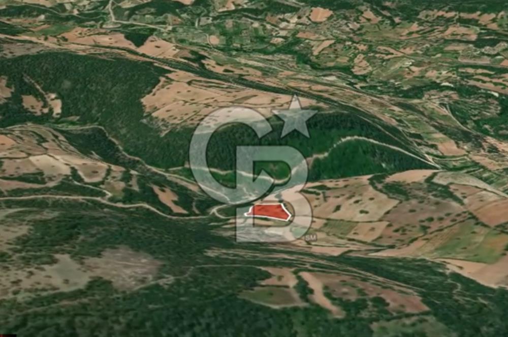 CB AMBIANCE'DAN KELES(BURSA) BASAK KÖYÜNDE 5054m2 TARLA