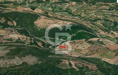 CB AMBIANCE'DAN KELES(BURSA) BASAK KÖYÜNDE 5054m2 TARLA