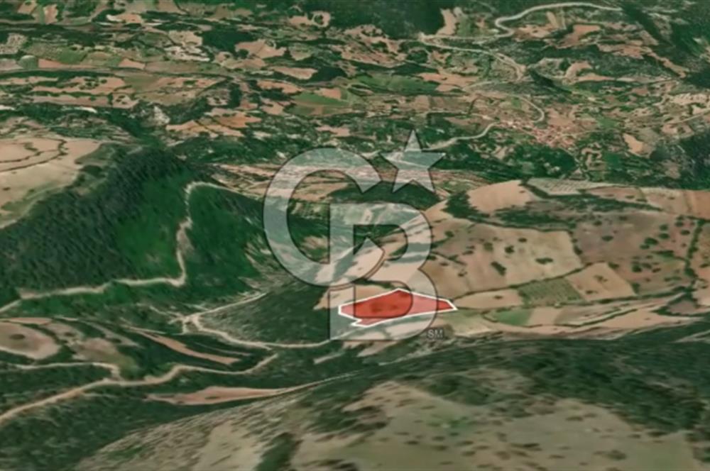 CB AMBIANCE'DAN KELES(BURSA) BASAK KÖYÜNDE 5054m2 TARLA