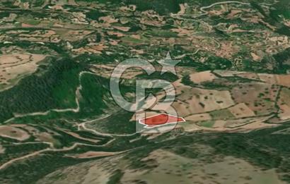 CB AMBIANCE'DAN KELES(BURSA) BASAK KÖYÜNDE 5054m2 TARLA