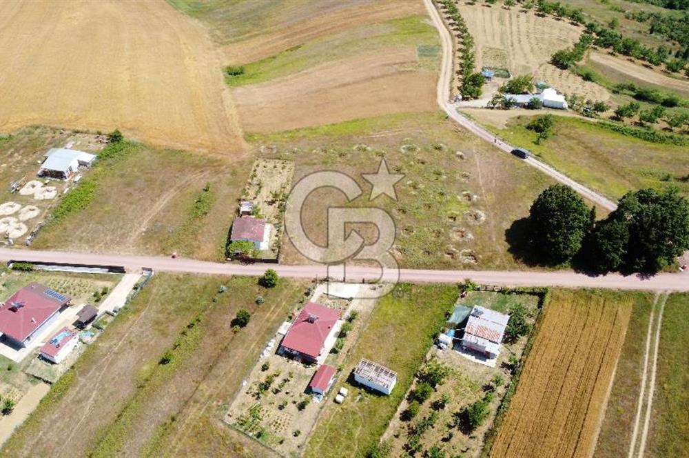CB AKADEMİ KOCAKAYMAZ SATILIK KADASTRO YOL CEPHE 1384 m2 TARLA