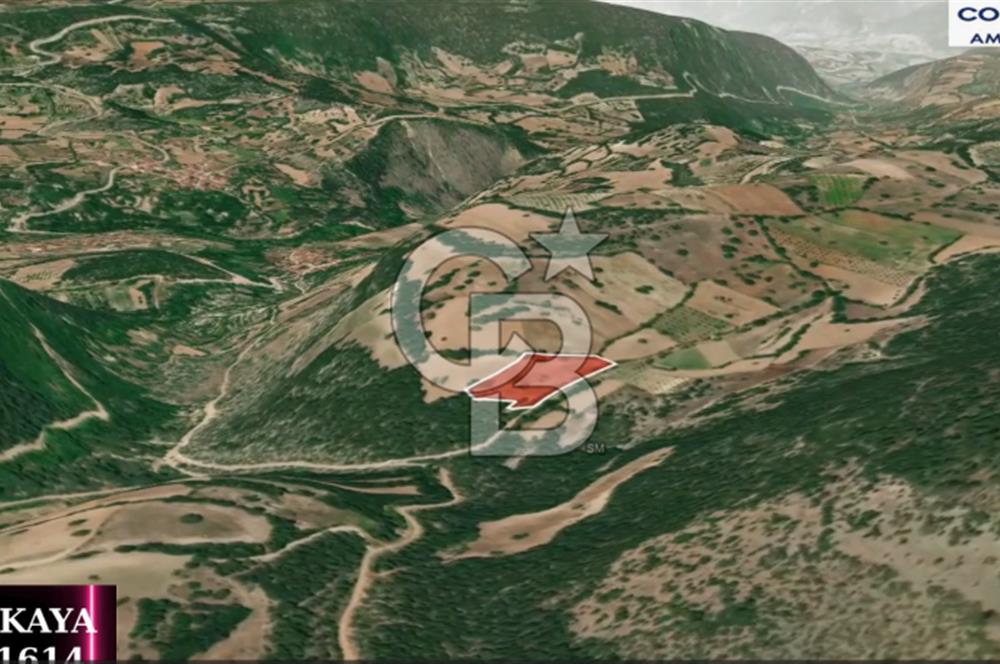 CB AMBIANCE'DAN KELES(BURSA) BASAK KÖYÜNDE 5054m2 TARLA