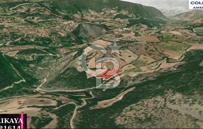 CB AMBIANCE'DAN KELES(BURSA) BASAK KÖYÜNDE 5054m2 TARLA