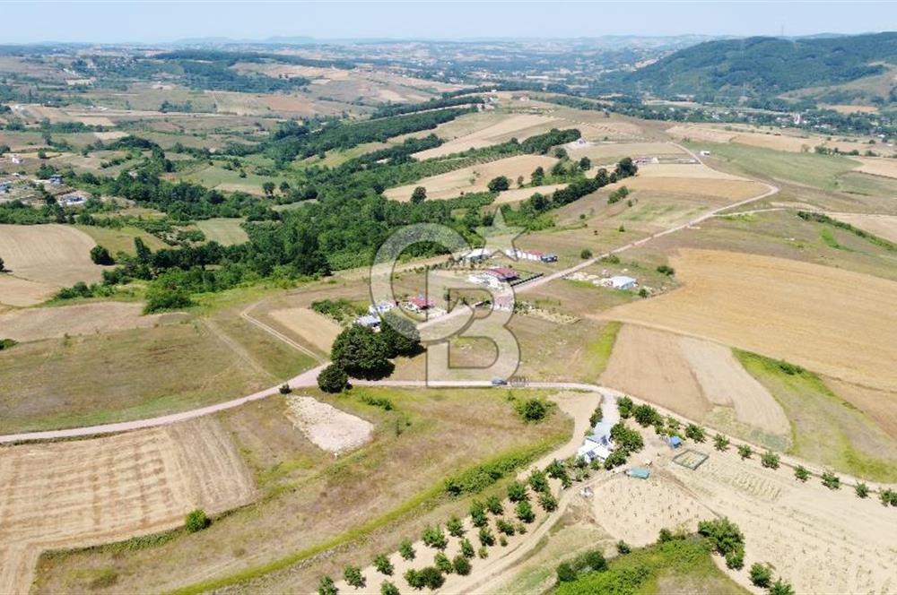 CB AKADEMİ KOCAKAYMAZ SATILIK KADASTRO YOL CEPHE 1384 m2 TARLA