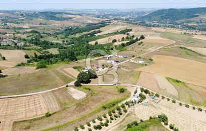 CB AKADEMİ KOCAKAYMAZ SATILIK KADASTRO YOL CEPHE 1384 m2 TARLA