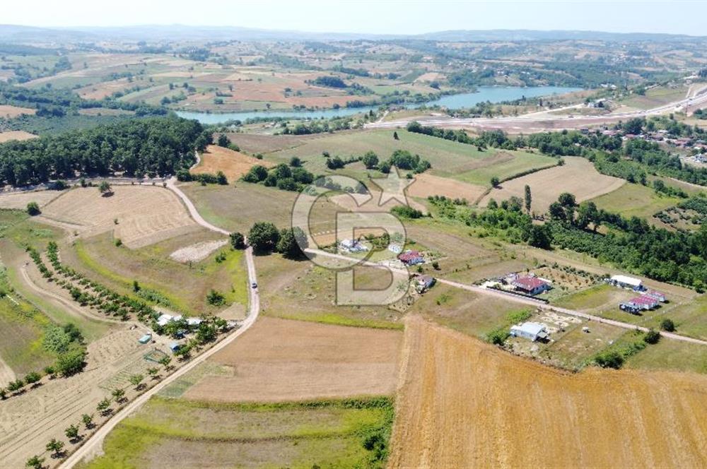 CB AKADEMİ KOCAKAYMAZ SATILIK KADASTRO YOL CEPHE 1384 m2 TARLA