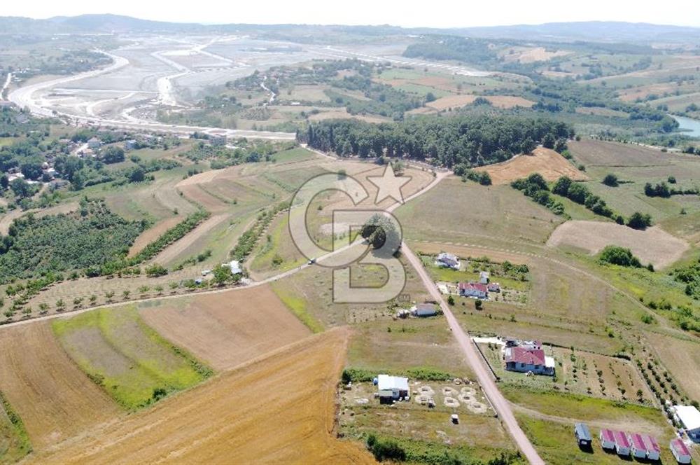 CB AKADEMİ KOCAKAYMAZ SATILIK KADASTRO YOL CEPHE 1384 m2 TARLA