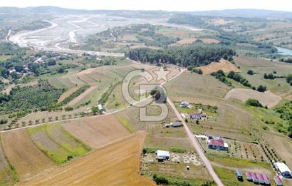 CB AKADEMİ KOCAKAYMAZ SATILIK KADASTRO YOL CEPHE 1384 m2 TARLA