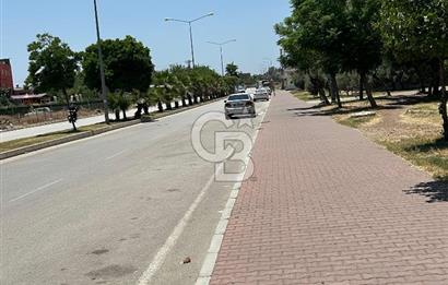 Kıyı Boyu Tokilerde Yol Kenarı Satılık İşyerleri