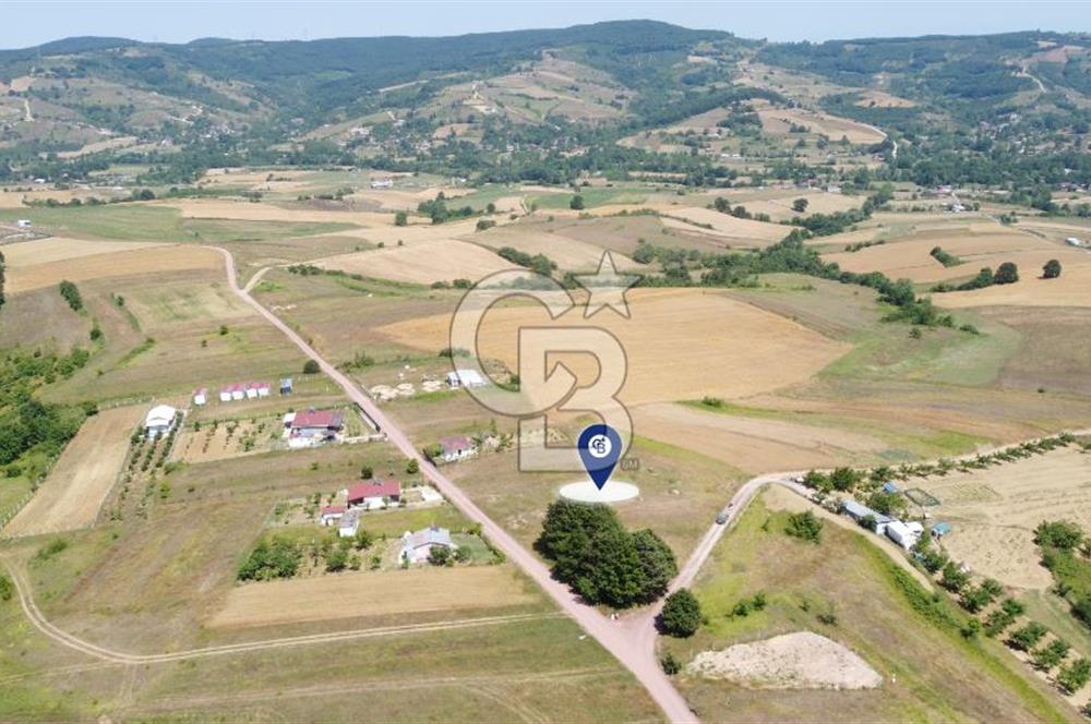 CB AKADEMİ KOCAKAYMAZ SATILIK KADASTRO YOL CEPHE 1384 m2 TARLA