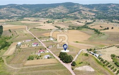 CB AKADEMİ KOCAKAYMAZ SATILIK KADASTRO YOL CEPHE 1384 m2 TARLA
