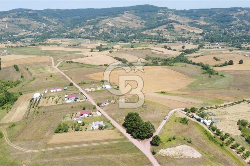 CB AKADEMİ KOCAKAYMAZ SATILIK KADASTRO YOL CEPHE 1384 m2 TARLA