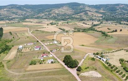 CB AKADEMİ KOCAKAYMAZ SATILIK KADASTRO YOL CEPHE 1384 m2 TARLA