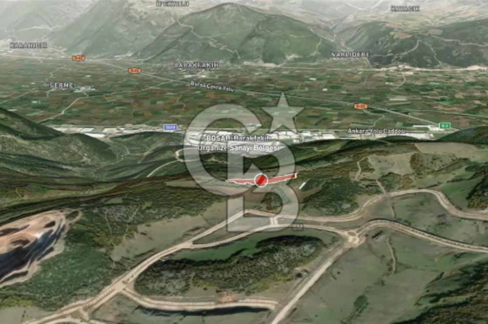 CB AMBIANCE'DAN KESTEL ÇATALTEPE KÖYÜNDE 9092m2 YATIRIMLIK TARLA