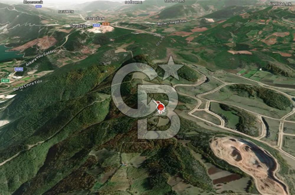 CB AMBIANCE'DAN KESTEL ÇATALTEPE KÖYÜNDE 9092m2 YATIRIMLIK TARLA