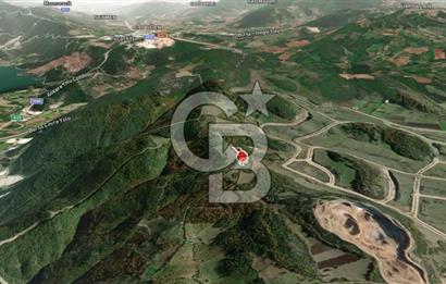 CB AMBIANCE'DAN KESTEL ÇATALTEPE KÖYÜNDE 9092m2 YATIRIMLIK TARLA