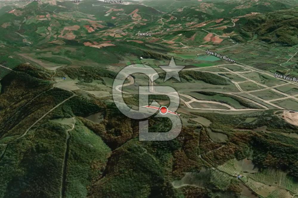 CB AMBIANCE'DAN KESTEL ÇATALTEPE KÖYÜNDE 9092m2 YATIRIMLIK TARLA