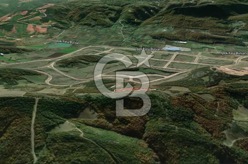 CB AMBIANCE'DAN KESTEL ÇATALTEPE KÖYÜNDE 9092m2 YATIRIMLIK TARLA