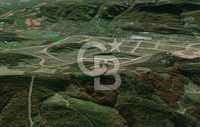 CB AMBIANCE'DAN KESTEL ÇATALTEPE KÖYÜNDE 9092m2 YATIRIMLIK TARLA