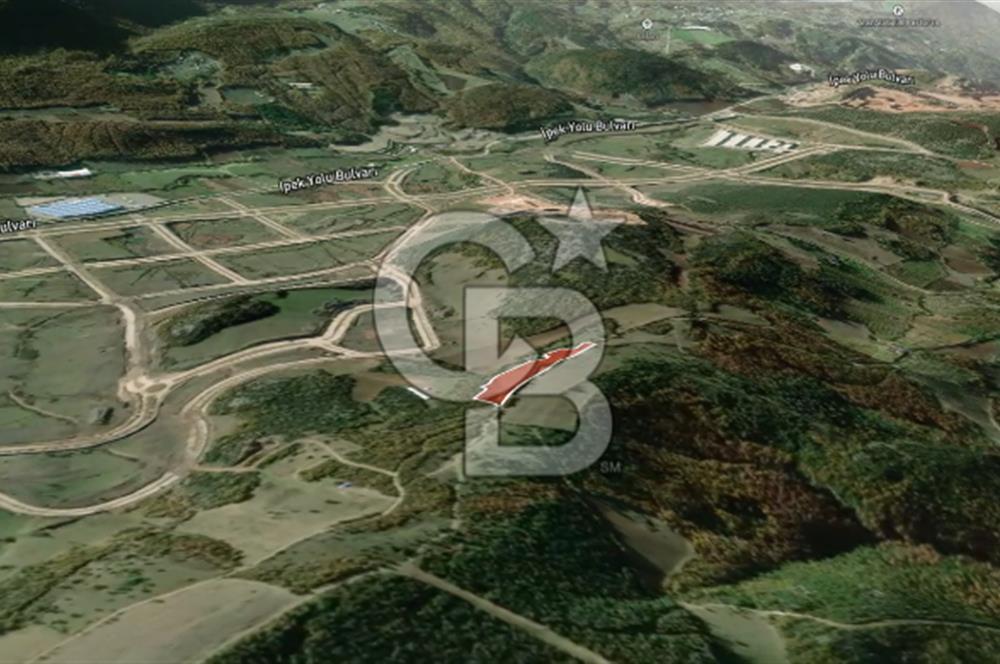 CB AMBIANCE'DAN KESTEL ÇATALTEPE KÖYÜNDE 9092m2 YATIRIMLIK TARLA