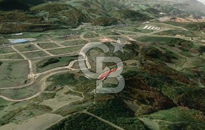 CB AMBIANCE'DAN KESTEL ÇATALTEPE KÖYÜNDE 9092m2 YATIRIMLIK TARLA