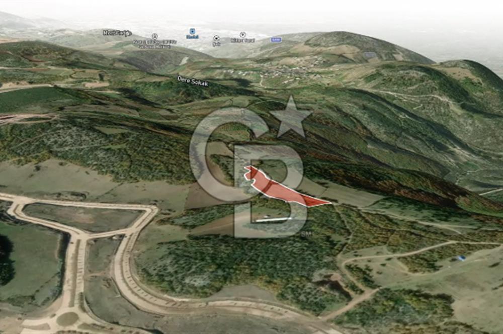 CB AMBIANCE'DAN KESTEL ÇATALTEPE KÖYÜNDE 9092m2 YATIRIMLIK TARLA