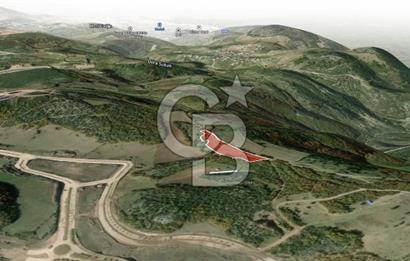 CB AMBIANCE'DAN KESTEL ÇATALTEPE KÖYÜNDE 9092m2 YATIRIMLIK TARLA