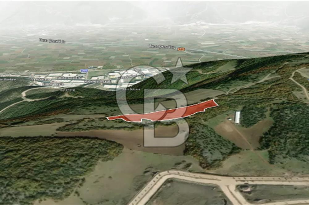 CB AMBIANCE'DAN KESTEL ÇATALTEPE KÖYÜNDE 9092m2 YATIRIMLIK TARLA
