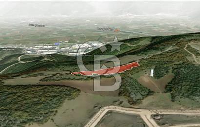 CB AMBIANCE'DAN KESTEL ÇATALTEPE KÖYÜNDE 9092m2 YATIRIMLIK TARLA